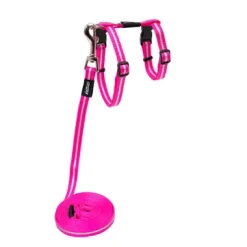 Alleycat Harness And Lead Set- Pink 11mm