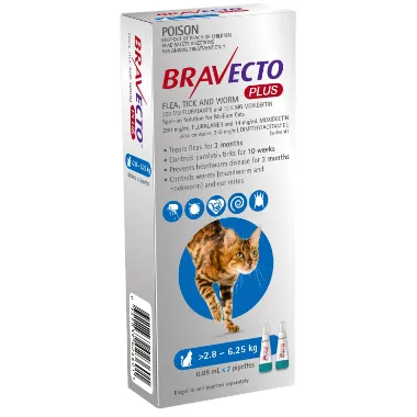 Bravecto Plus Cat Blue 2.8 to 6.25kg 2 Pack
