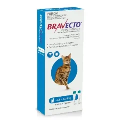 Bravecto Spot On Cats Blue 2.8 to 6.25kg 2 Pack