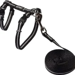 Cat Harness & Lead Alleycat Black