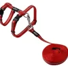 Cat Harness & Lead Alleycat Red