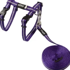 Cat Harness & Lead Alleycat Purple