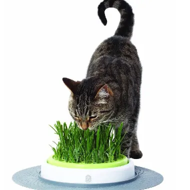 Catit Senses 2.0 Grass Planter