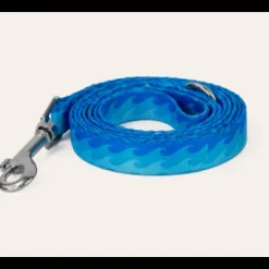 Dan & Sam Dog Lead Coastal Land Large
