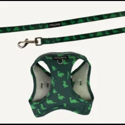Dan & Sam Step-In Cat Harness & Lead - Dinosaur Land