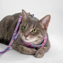 Dan & Sam Step-In Cat Harness & Lead - Disco Party