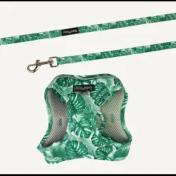 Dan & Sam Step-In Cat Harness & Lead - Lahana