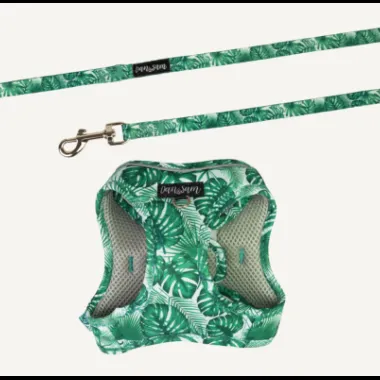 Dan & Sam Step-In Cat Harness & Lead - Lahana
