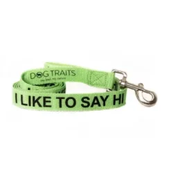 Dog Traits 'I Like to Say Hi' Green Lead