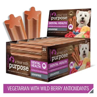 Evolution Dental Stick Vegetarian Wild Berry