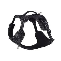 Explore Dog Harness Black