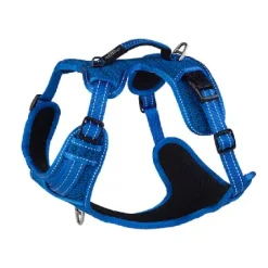 Explore Dog Harness Blue