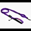 EzyDog Leash Road Runner Purple 25