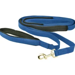 Flat Nylon Dog Recall Lead 7m Blue