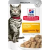 Hills Feline Pouch Urinary & Hairball Chicken 85g