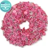 Kazoo Barneys Barkery Dog Donut Biscuit - Pink 36gm
