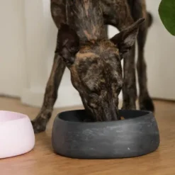 Kazoo The Better Bowl Charcoal Black