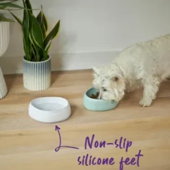 Kazoo The Better Bowl Marble White