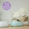 Kazoo The Better Bowl Sage Green