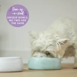 Kazoo The Better Bowl Sage Green