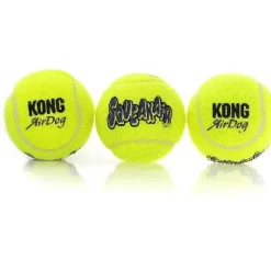 Kong AirDog Squeaker Ball Tennis Balls