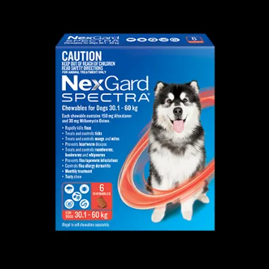 Nexgard Spectra 30.1>60kg