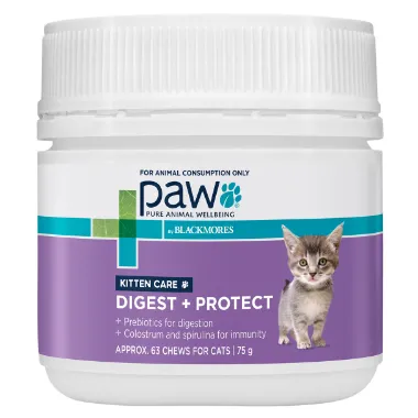 Paw Digest Protect Kitten Care 75g