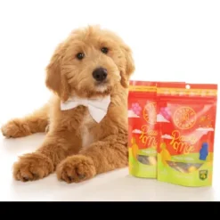 Pawthy Mix Doggy Lollies 100g