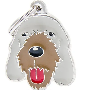 Pet ID Tag Friends Spinone Italiano Dog