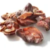 Pork Snout 100g