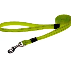 Reflective Dayglow Dog Lead