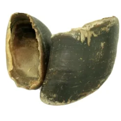 Single Beef Hoof